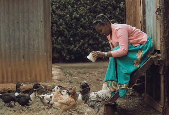 A woman feeding chickens